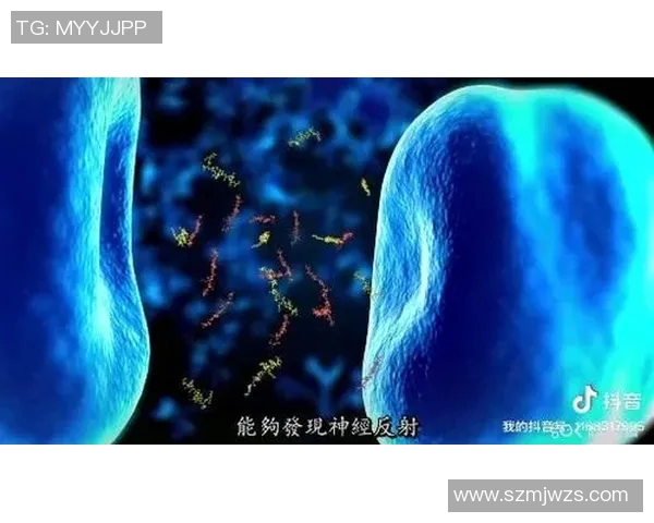 太空计划篮球明星的宇宙征程与地球篮球的奇妙碰撞